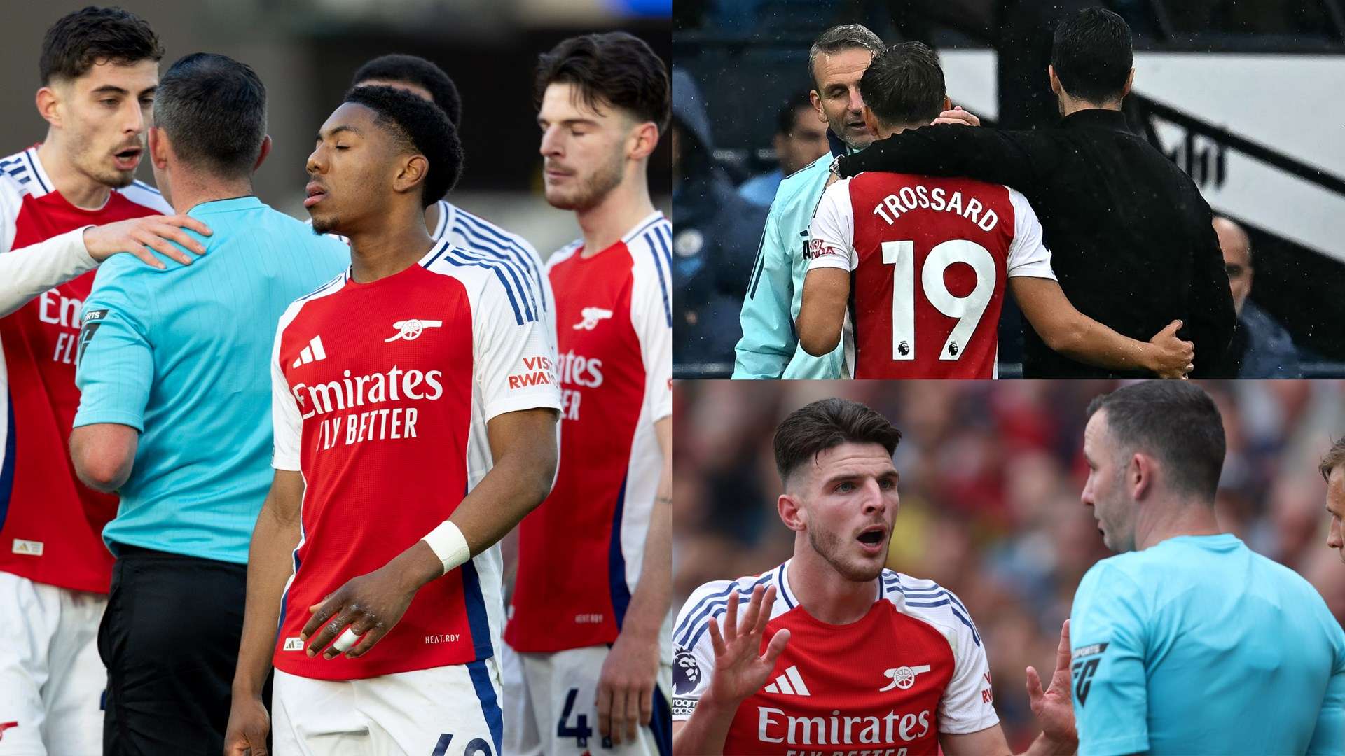 主办的足球 主办的足球